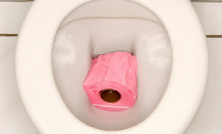 11 Things You Should Never Flush Down The Toilet