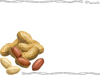 スマホ用ページ 落花生 ピーナッツのポストカード用イラスト 条件付フリー素材集