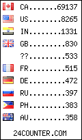 visitors by country counter