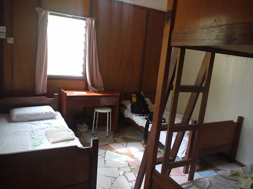 P1130801.JPG