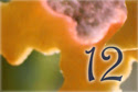 18_dia_12
