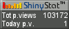 Website counters