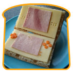 Nintendo DS
