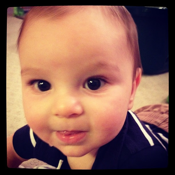 8 months