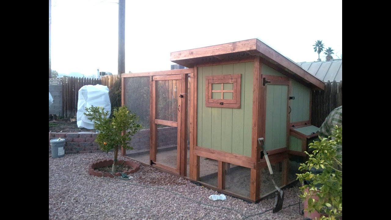 How to Build A Backyard Urban Chicken Coop - YouTube