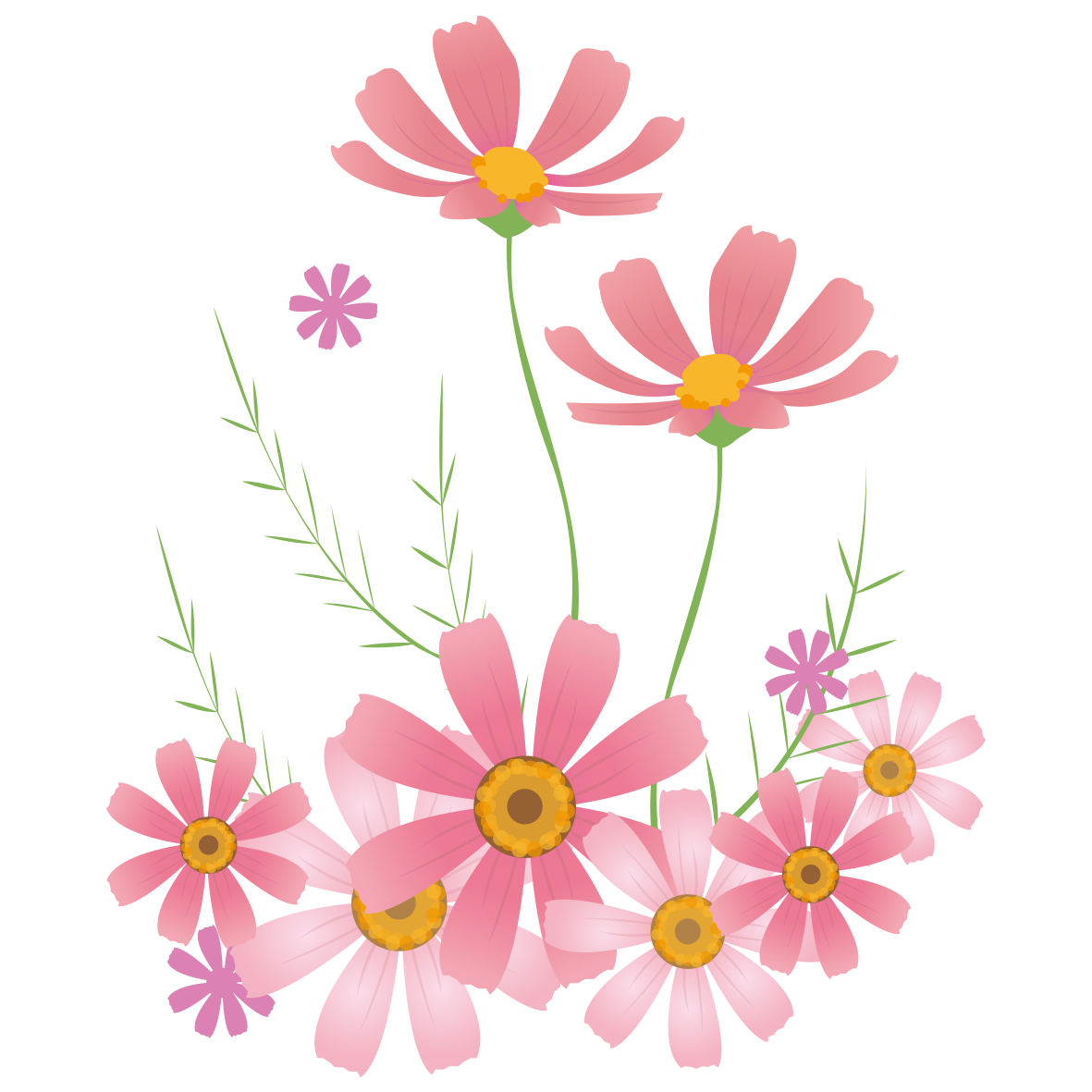 元のコスモス イラスト 簡単 すべてかわいい動物