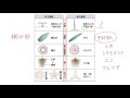 √1000以上 単子葉類 花 150034-単子葉類 花弁の数