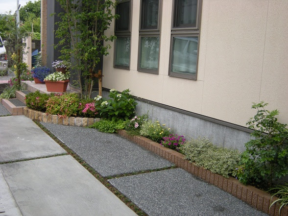 冬の庭木たち ヤマボウシ オリーブと霜で落葉したロイヤルジャスミン 施主のための家づくり情報サーチ ガンにも負けず