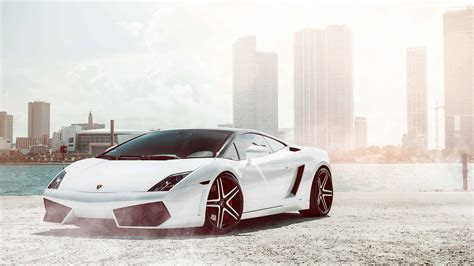 white lamborghini gallardo uhd  wallpaper pixelz