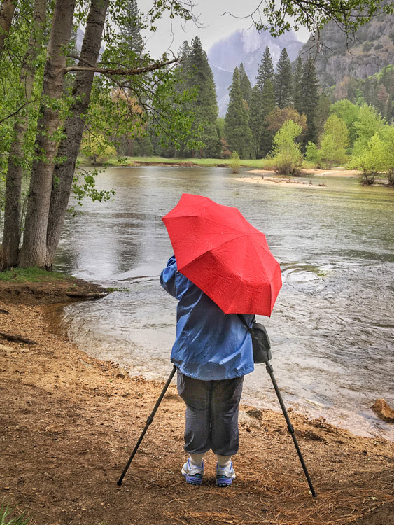 Learning Digital Photography May Have More Benefits Than You Think