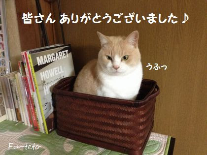 皆さん本当にありがとうございました 猫日和 キルト日和
