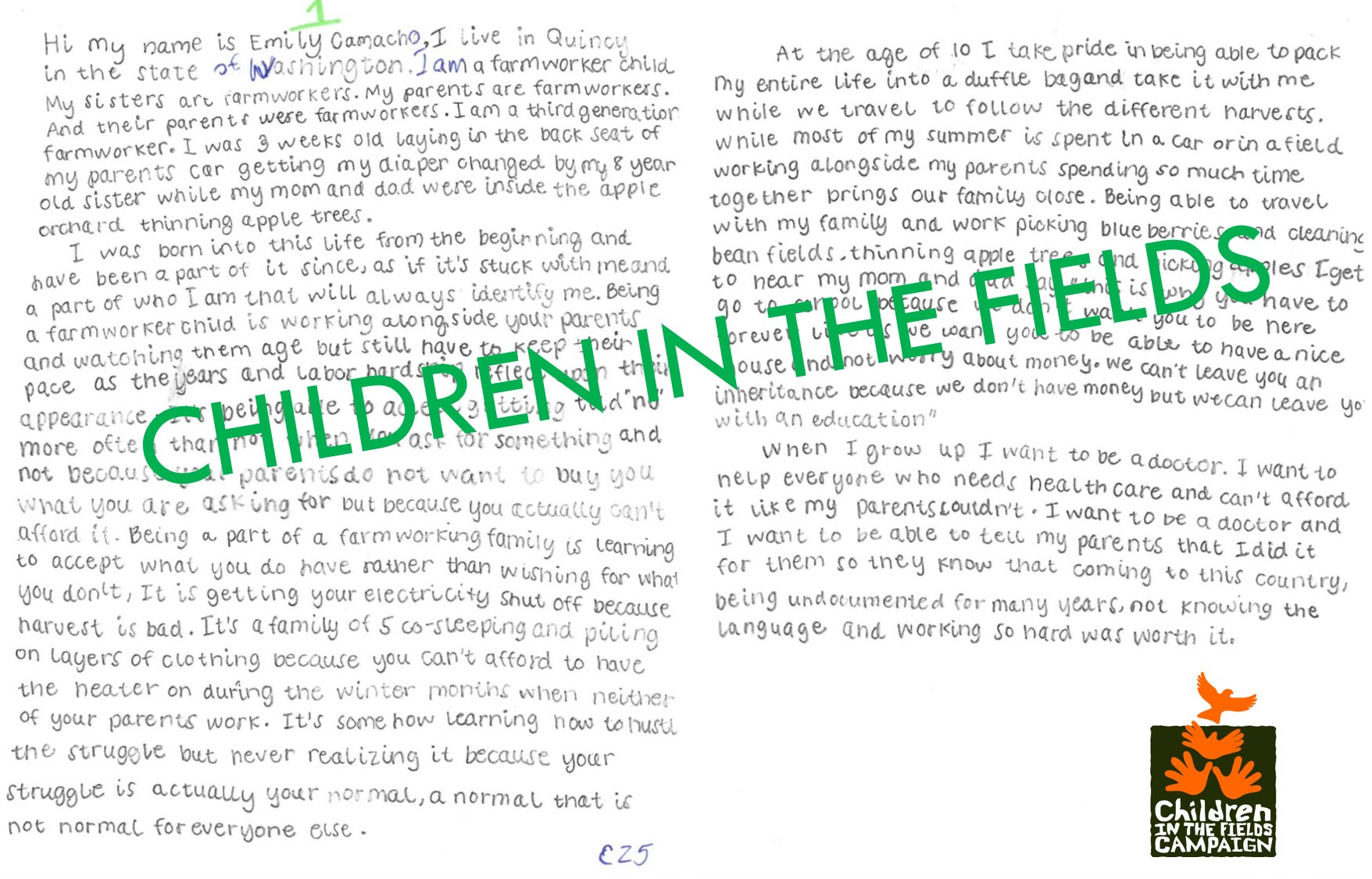 Essay of soledad reyes