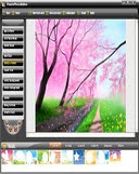 Picture