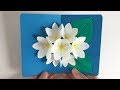 √1000以上 ポップアップ カード 作り方 花 272693-ポップアップ カード 花束 作り方