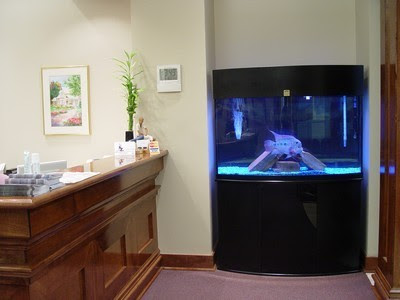 5200 Koleksi Aquarium Design At Home Gratis Terbaik