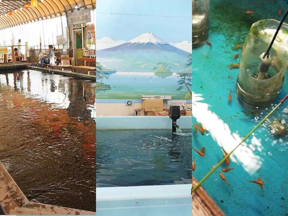 こんなとこに 室内で寒さを気にせず楽しめる都内の釣り掘3選 あした 釣りいこ 通信