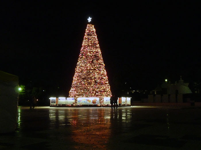 ライトアップされたクリスマスツリーの公園の写真素材フリー 高画質