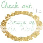  photo imageoftheweek.jpg