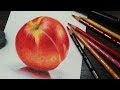 How To Draw Bushes With Colored Pencils : 3 Ways to Draw With Colored Pencils - wikiHow : Today you'll start with the rocks and bushes in the foreground, then you'll sketch the outlines of all the mountains.