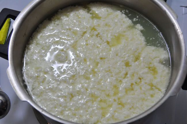 milk curd cut