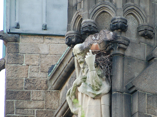 Tristan Visits the Nest