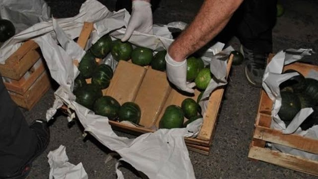 Resultado de imagen para ZAPALLITOS FORMOSA