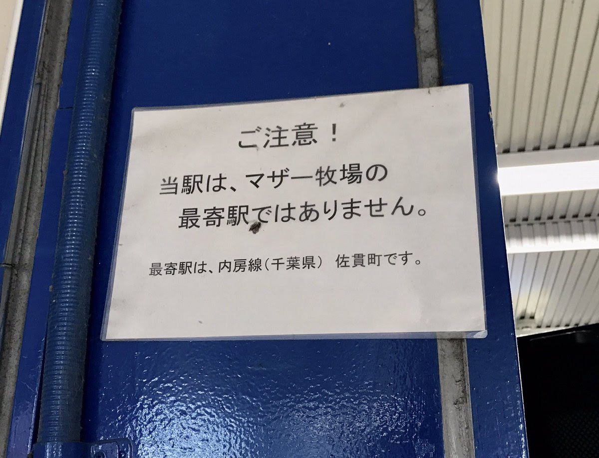 Yokota49 Yokota49 18年2月のツイート ツイセーブ