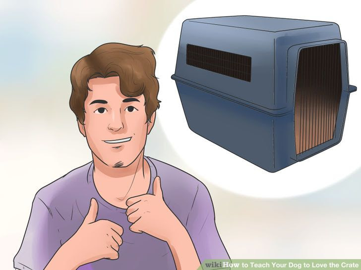 Teach Your Dog to Love the Crate Step 5 Version 3.jpg