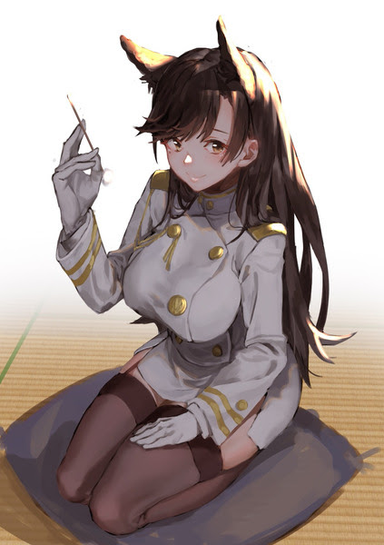 アズレン愛宕さん Pixiv年鑑 B