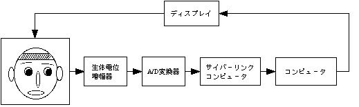 2つのサイバースペース