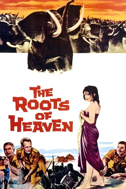Les racines du ciel Streaming Complet Vostfr 1958 En Ligne Regarder
Sous-titre .FR 4k Francais Box Office
