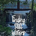 Free Download Finding Still Waters: The Art of Conscious Recovery 999577700 PDF Ebook online