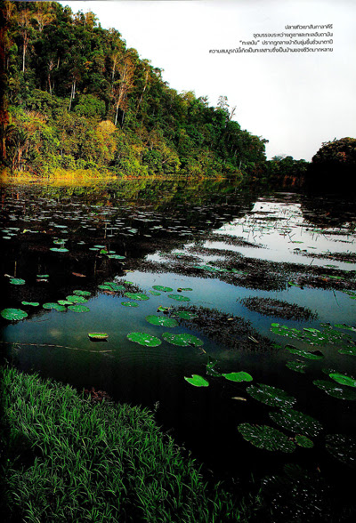 ทะเลบัน