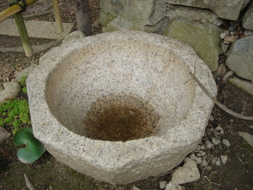 DSC06063.JPG
