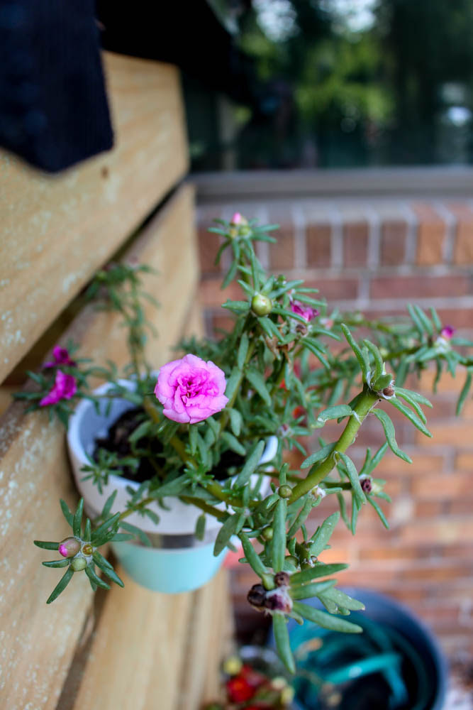 Home Project // DIY Trash Can Shed for Curb Appeal 