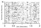 Neuron activity pattern indicates which neuron is active at a given time Max Planck Institute for Dynamics and Self-Organization)