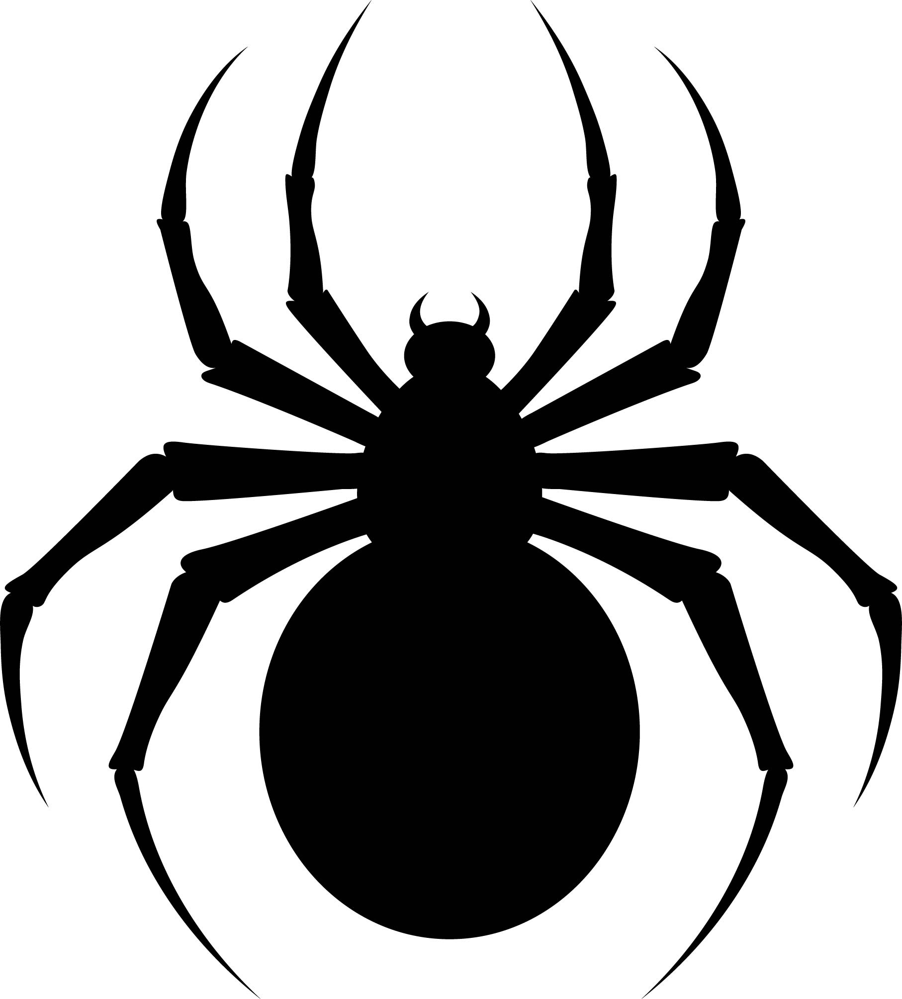6 Best Images of Printable Spider Template Halloween Spider Templates