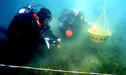 Los buzos de la expedición se sumergieron a 30 metros en busca de las ruinas. Presuntamente habría más edificios enterrados bajo el lecho del lago Titicaca.