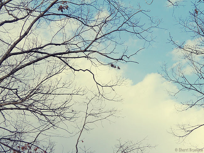 Blue Skies in February