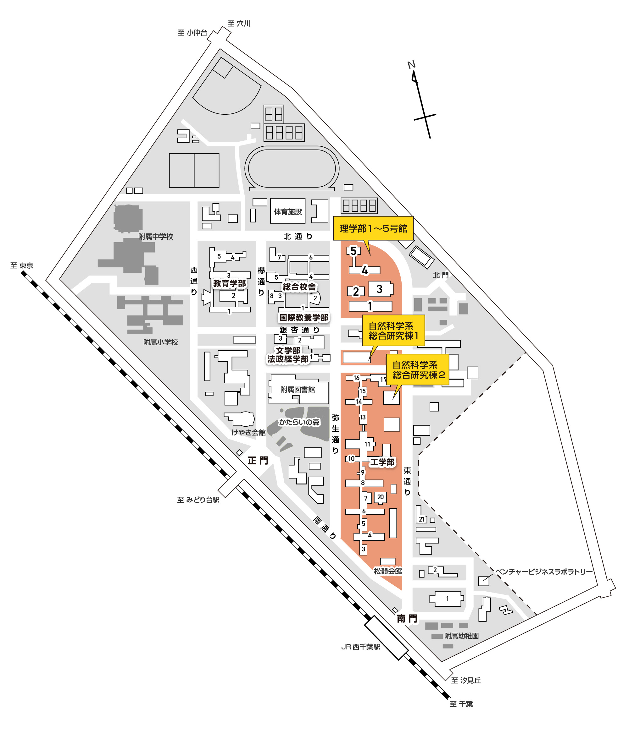 千葉大学理学部生物学科 Department Of Biology Chiba University