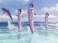 Видео чунга чанга.wmv