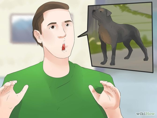 Report a Dangerous Dog Step 3 Version 2.jpg