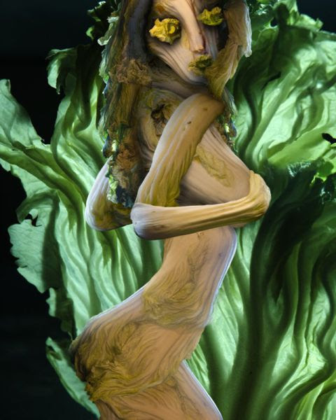 Cabbage Girls (16 pics)