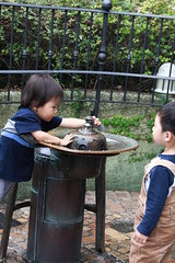 IMG_9339