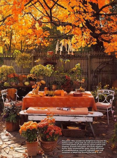 Thanksgiving decoration4