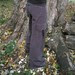 echopants