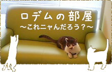 ワンちゃんのおちんちんから膿がでる 包皮炎かもしれません 青葉区の動物病院 院長堀川によるレオどうぶつ病院診療日記