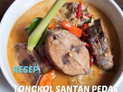 Cara Masak Masakan Ikan Tongkol Santan