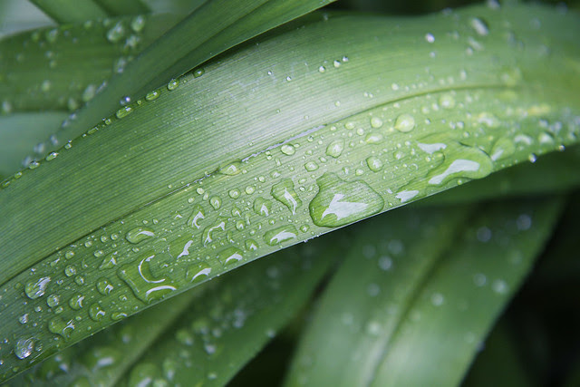 waterdroplets