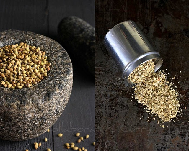 Coriander
